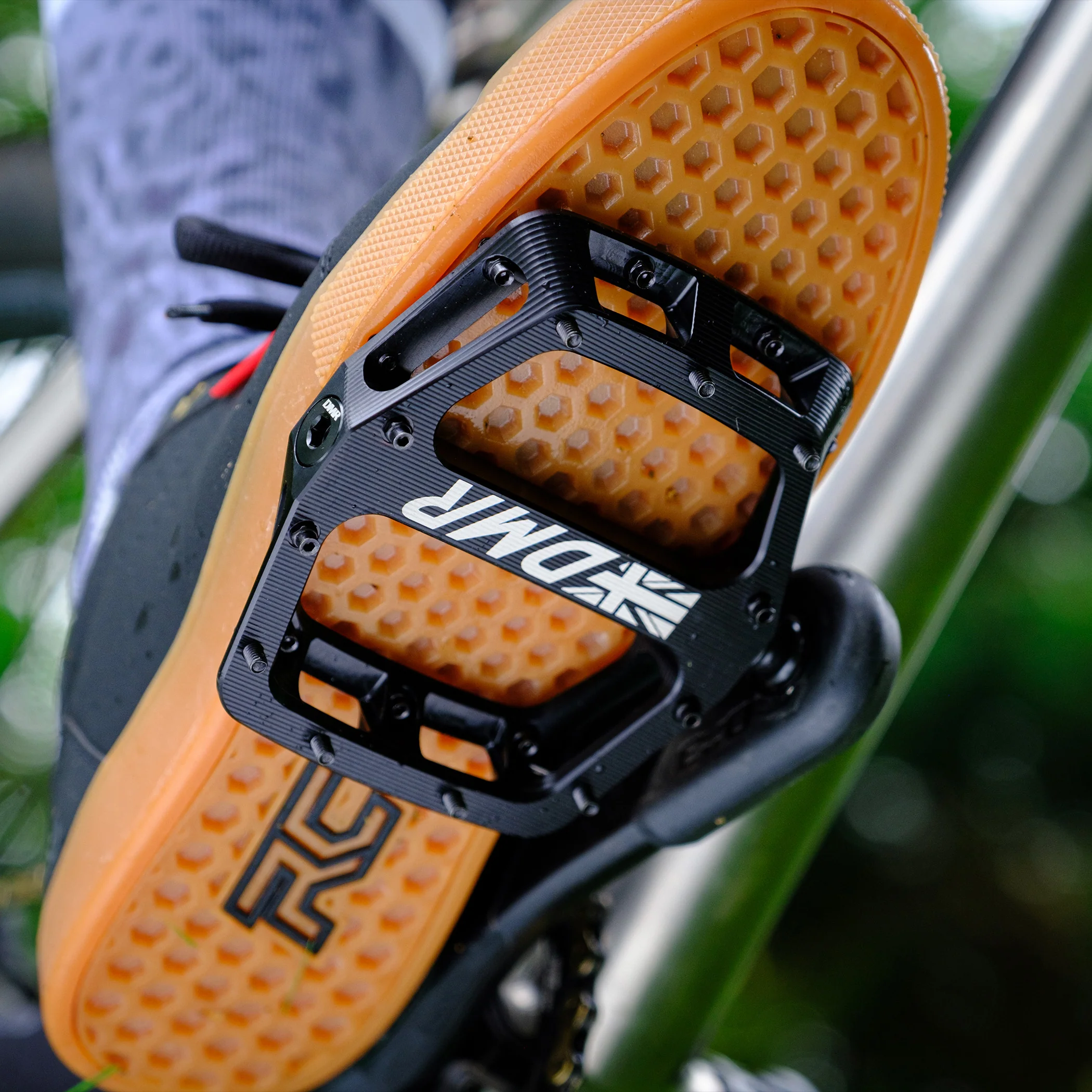 Thumbnail 31